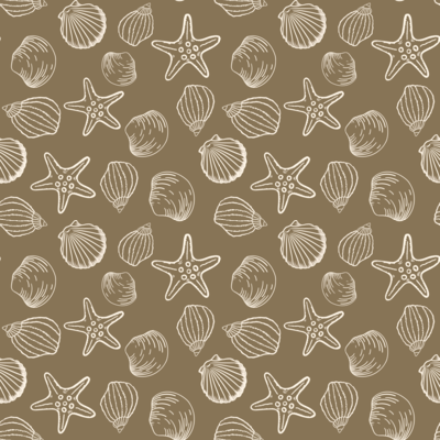 Seashell Starfish Sketch