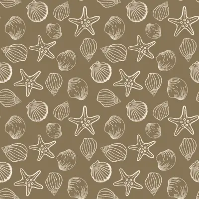 Seashell Starfish Sketch