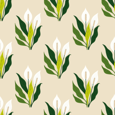 peace-lily-elegance by fabzure