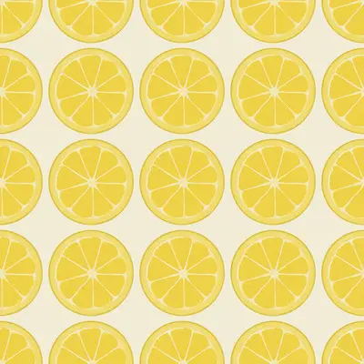 zesty-lemon-slices by fabzure