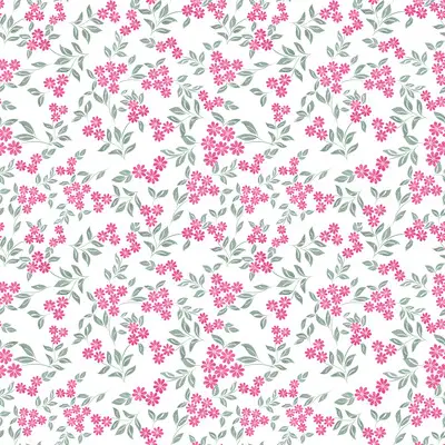 Fuchsia Blossom Trail On White by 