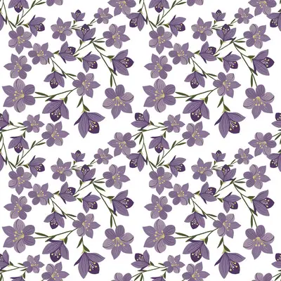 Lavender Bloom Trail