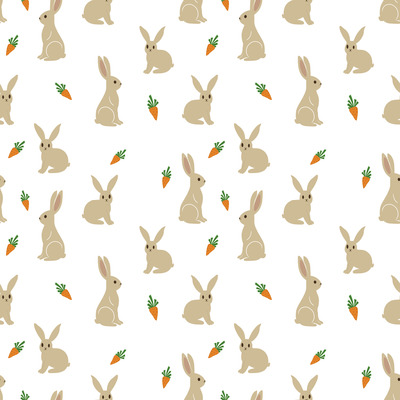 Carrot Bunny Delight by 