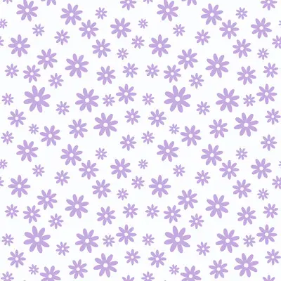 Lavender Daisy Bliss