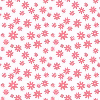 Blush Daisy Delight by 