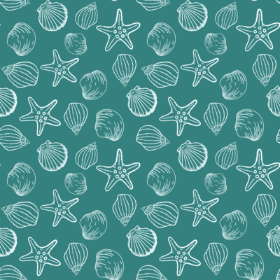 Seashell Starfish Sketch