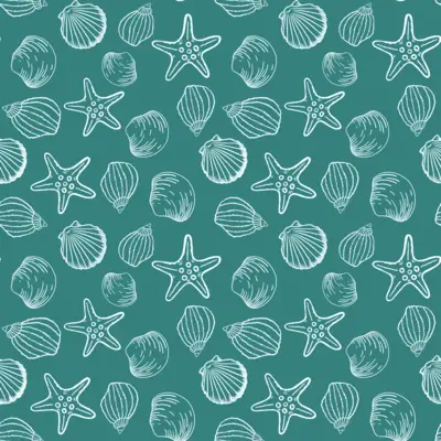 Seashell Starfish Sketch